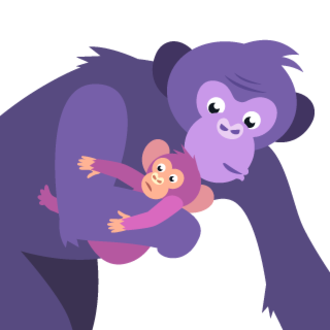 A chimpanzee family